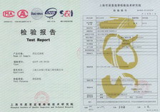 固定式球閥檢驗(yàn)報(bào)告